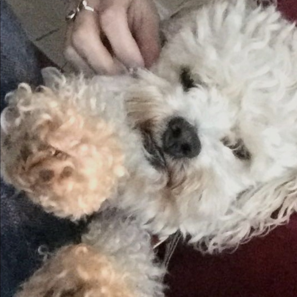 Meet your Posher, Kinhara